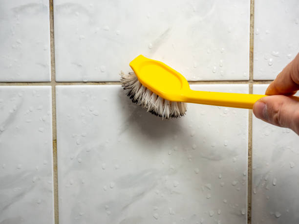 Three Oaks, MI Mold Removal Company
